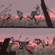 Illustration for article titled iWonder Woman ’77’/is strong art doesn’t make up for under-representing women